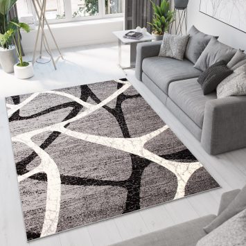 Vloerkleed Dream Grijs Zwart Modern Spinneweb